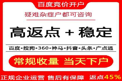 百度平台推广：成功案例解析与效果分析